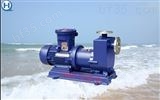 ZCQ20-12-110微型磁力泵,耐腐蚀磁力泵