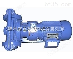 DBY型不锈钢防爆电动隔膜泵