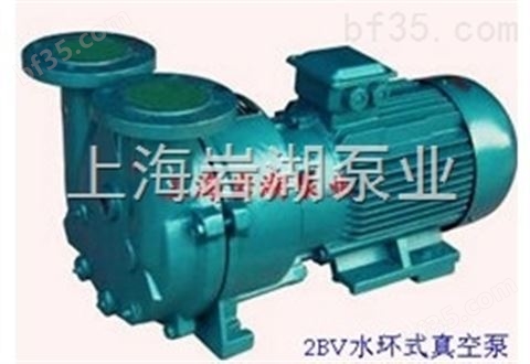 2BV型水环真空泵系列