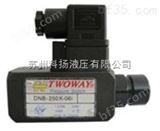 DNB-250K-06i中国台湾台肯TWOWAY压力继电器DNB-250K-06i