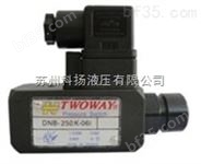 中国台湾台肯TWOWAY压力继电器DNB-250K-06i