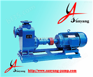 三洋管道单级自吸化工泵,ZW卧式自吸化工泵,上海卧式自吸化工泵